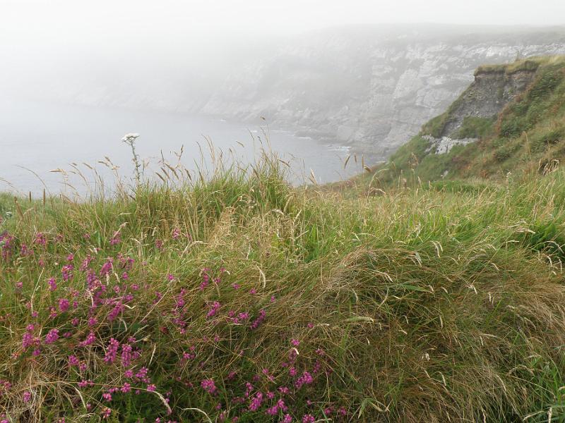 20100725i Uitzicht op nevelige baaiht.JPG